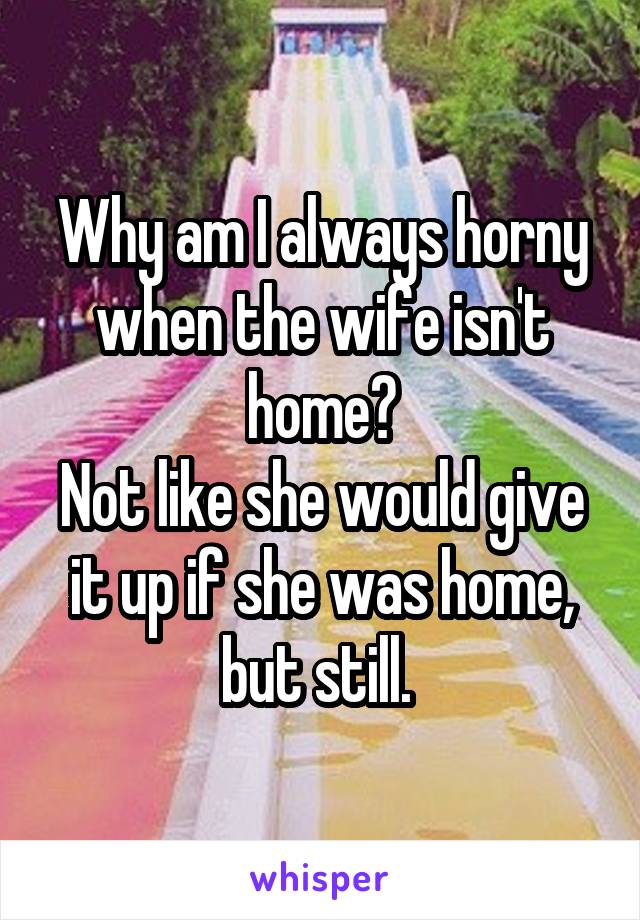 Why am I always horny when the wife isn't home?
Not like she would give it up if she was home, but still. 