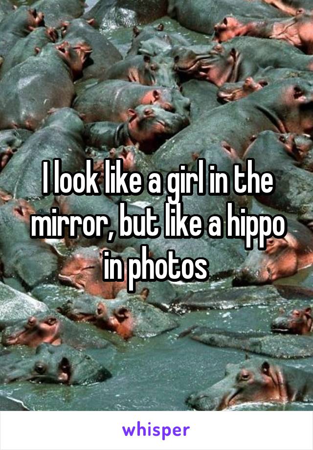 I look like a girl in the mirror, but like a hippo in photos 