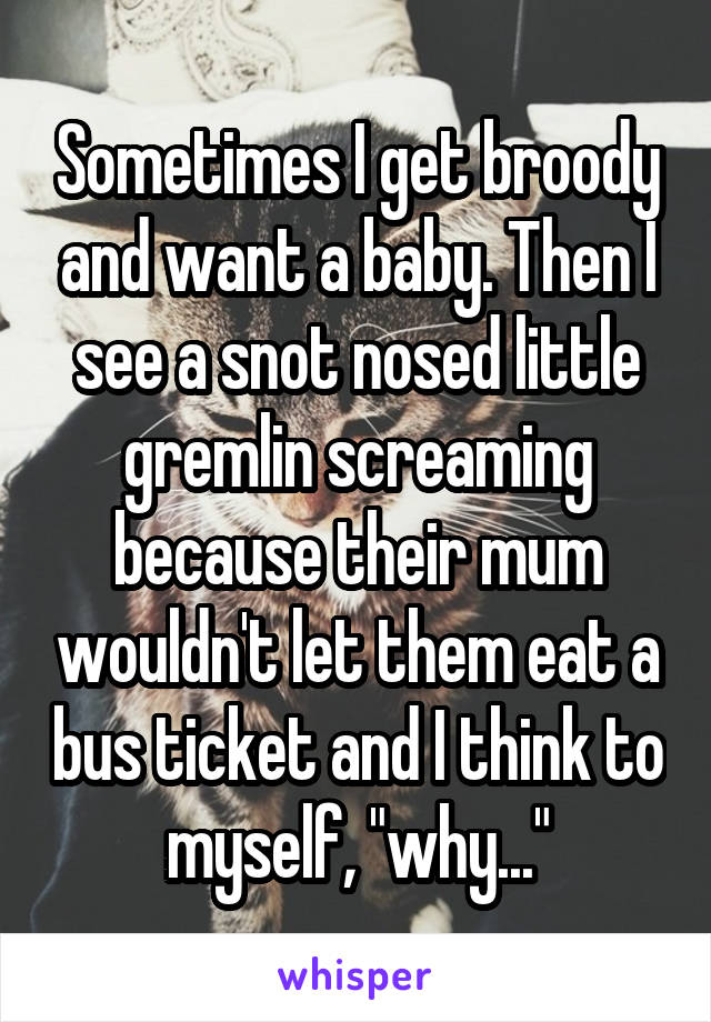 Sometimes I get broody and want a baby. Then I see a snot nosed little gremlin screaming because their mum wouldn't let them eat a bus ticket and I think to myself, "why..."