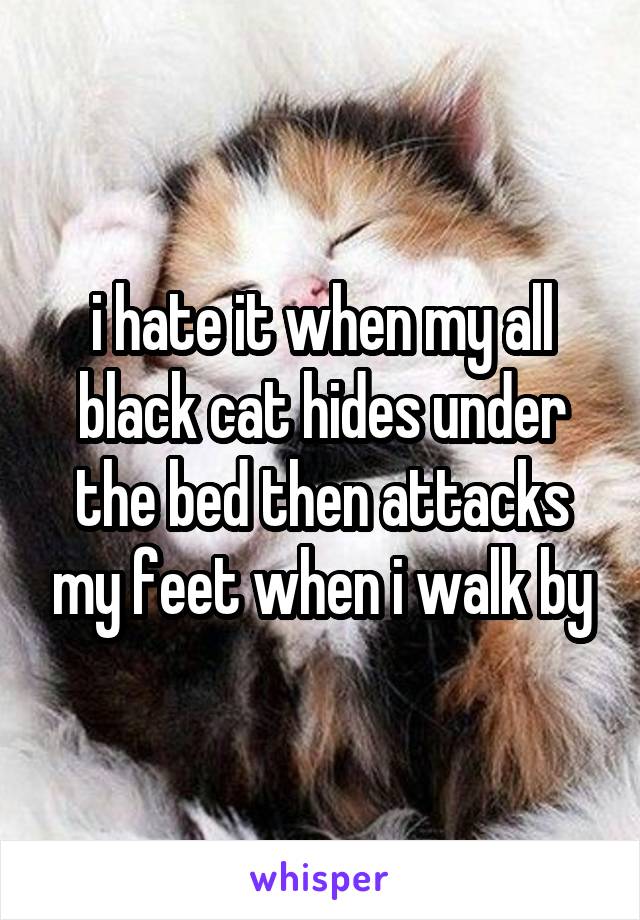 i hate it when my all black cat hides under the bed then attacks my feet when i walk by