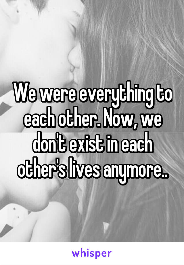 We were everything to each other. Now, we don't exist in each other's lives anymore..