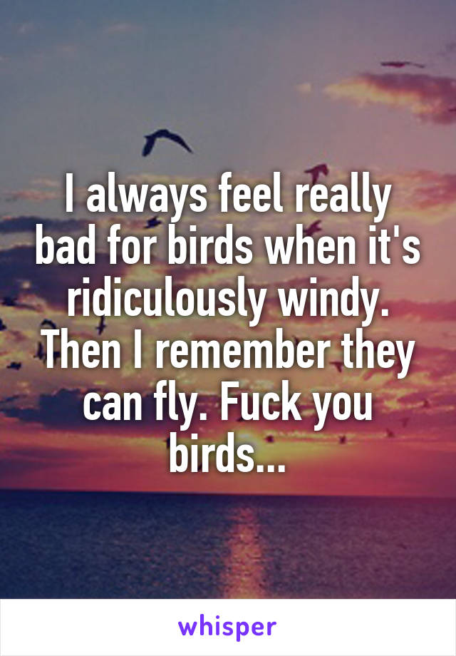 I always feel really bad for birds when it's ridiculously windy. Then I remember they can fly. Fuck you birds...