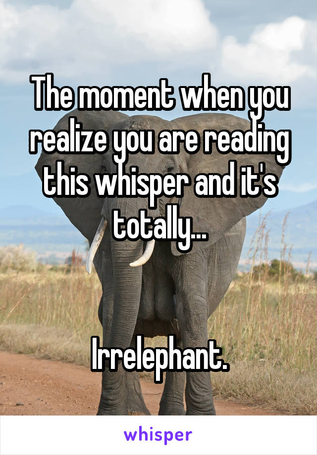 The moment when you realize you are reading this whisper and it's totally...


Irrelephant.