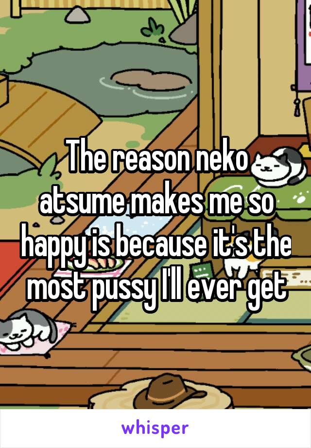 The reason neko atsume makes me so happy is because it's the most pussy I'll ever get