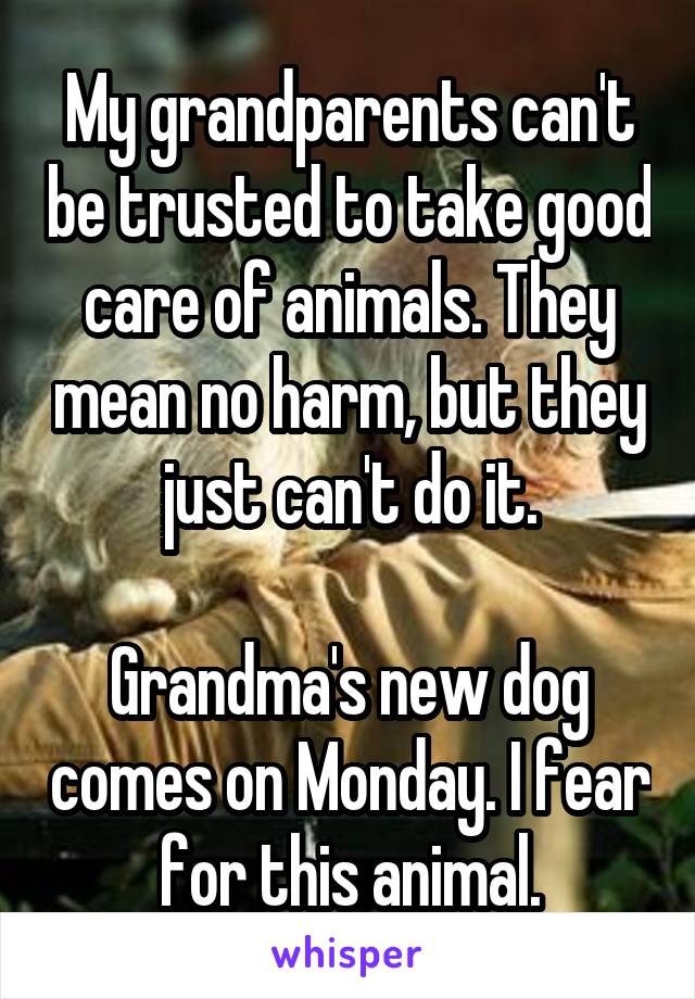 My grandparents can't be trusted to take good care of animals. They mean no harm, but they just can't do it.

Grandma's new dog comes on Monday. I fear for this animal.