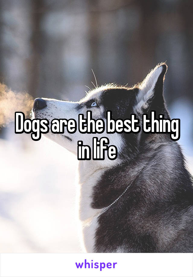 Dogs are the best thing in life