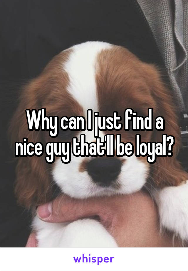 Why can I just find a nice guy that'll be loyal?