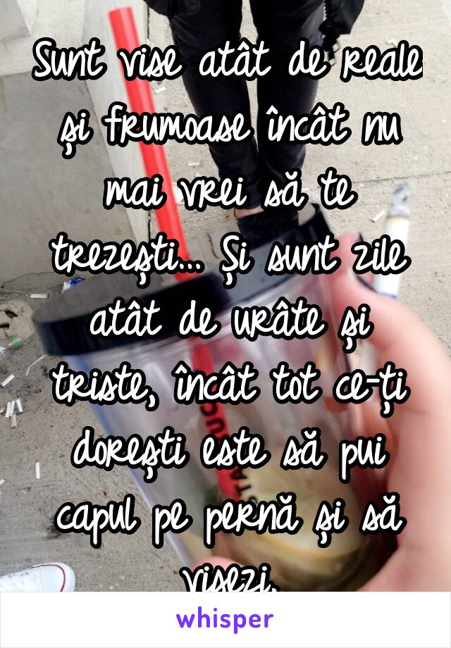 Sunt vise atât de reale și frumoase încât nu mai vrei să te trezești… Și sunt zile atât de urâte și triste, încât tot ce-ți dorești este să pui capul pe pernă și să visezi.