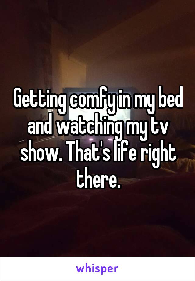 Getting comfy in my bed and watching my tv show. That's life right there.