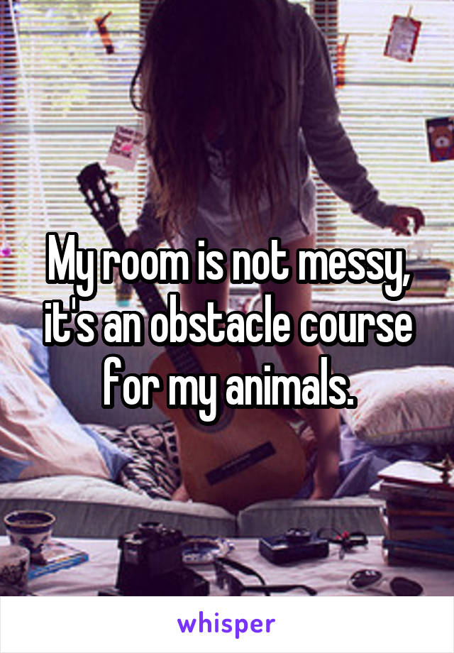 My room is not messy, it's an obstacle course for my animals.