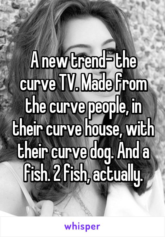 A new trend- the curve TV. Made from the curve people, in their curve house, with their curve dog. And a fish. 2 fish, actually.