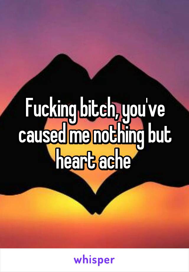 Fucking bitch, you've caused me nothing but heart ache 