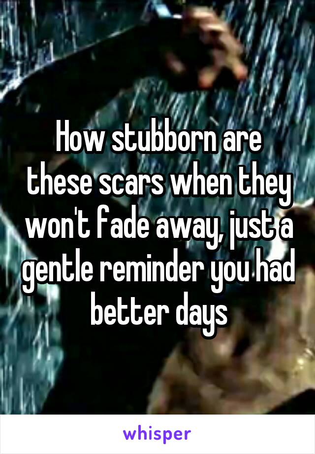 How stubborn are these scars when they won't fade away, just a gentle reminder you had better days