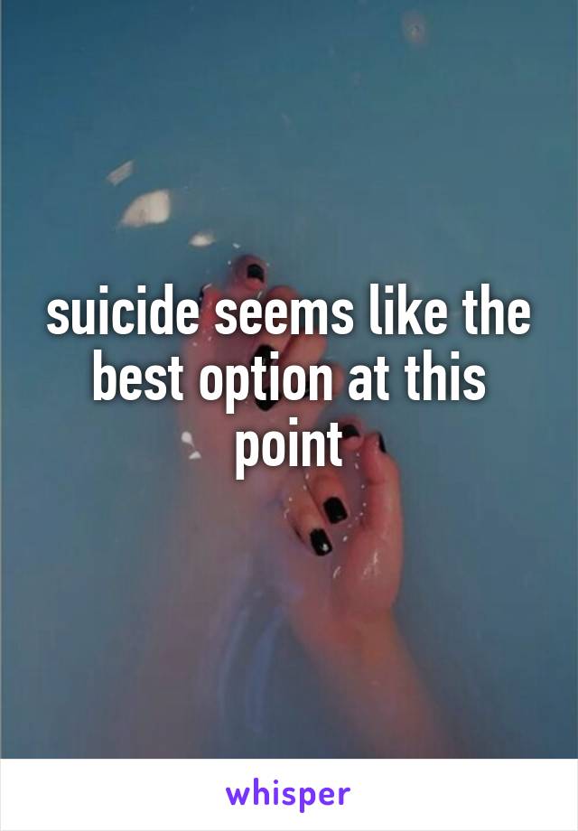 suicide seems like the best option at this point
