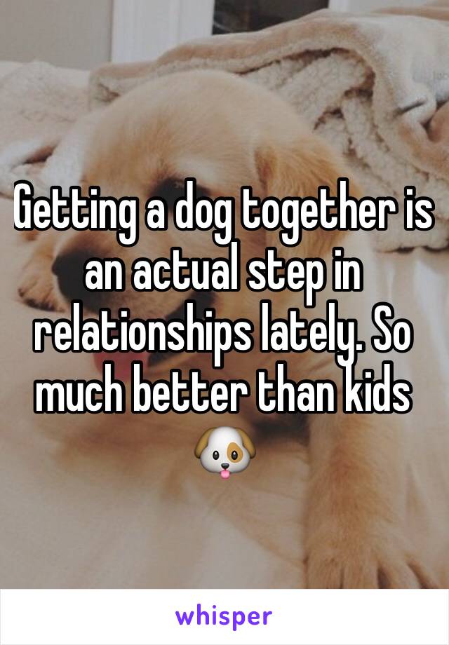 Getting a dog together is an actual step in relationships lately. So much better than kids 🐶