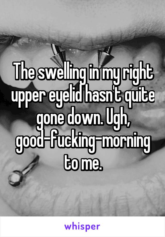 The swelling in my right upper eyelid hasn't quite gone down. Ugh, good-fucking-morning to me.