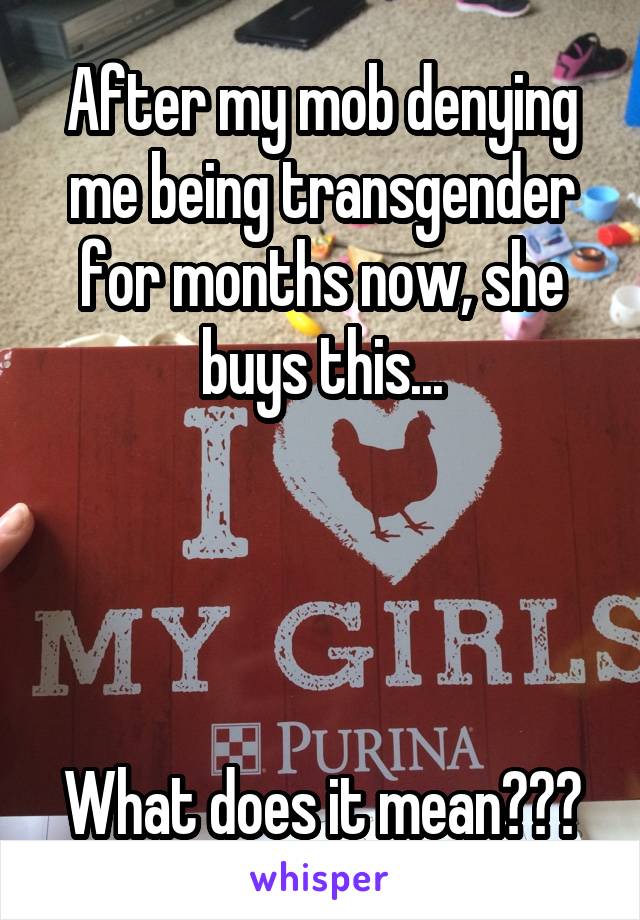 After my mob denying me being transgender for months now, she buys this...




What does it mean???