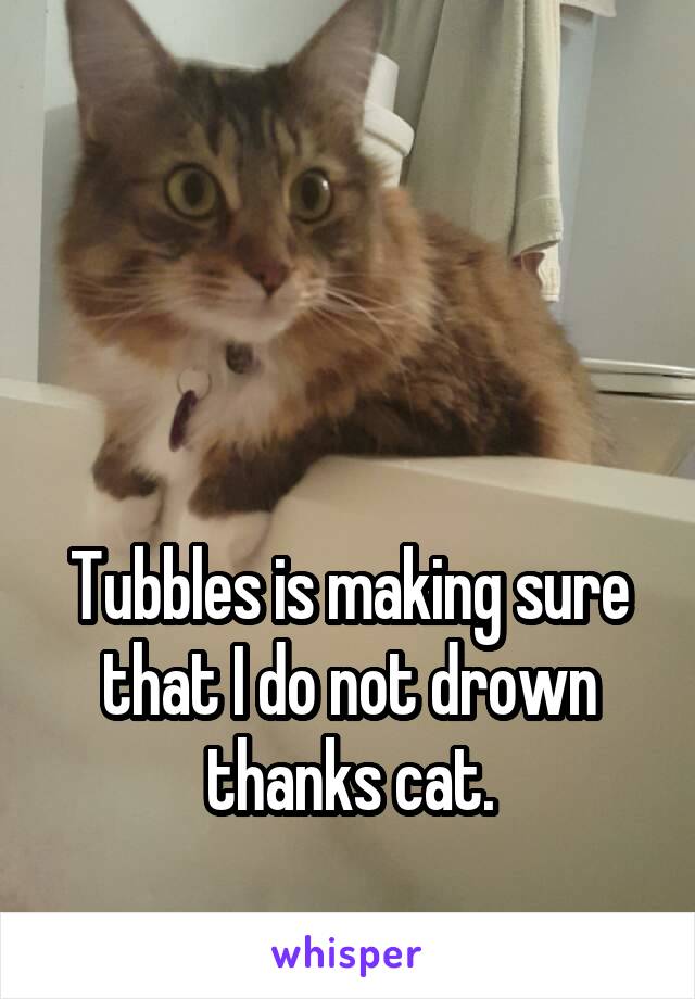 



Tubbles is making sure that I do not drown thanks cat.