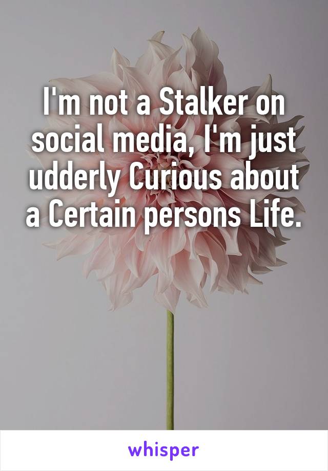 I'm not a Stalker on social media, I'm just udderly Curious about a Certain persons Life.



