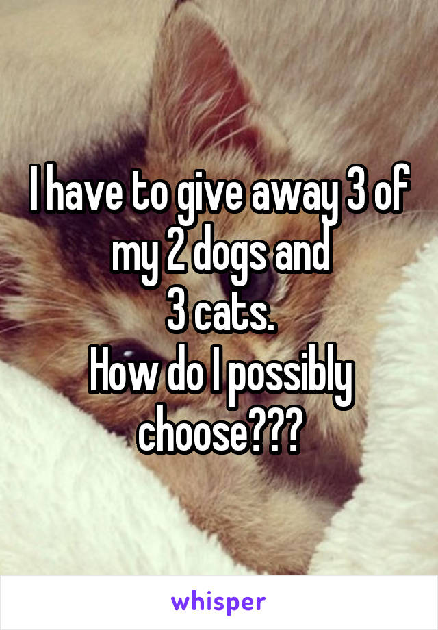 I have to give away 3 of my 2 dogs and
3 cats.
How do I possibly choose???