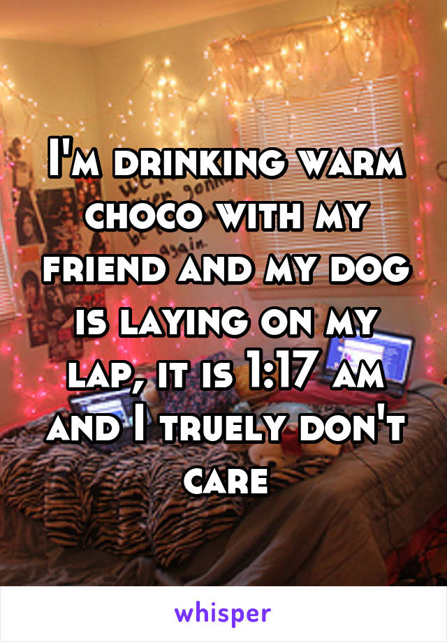 I'm drinking warm choco with my friend and my dog is laying on my lap, it is 1:17 am and I truely don't care