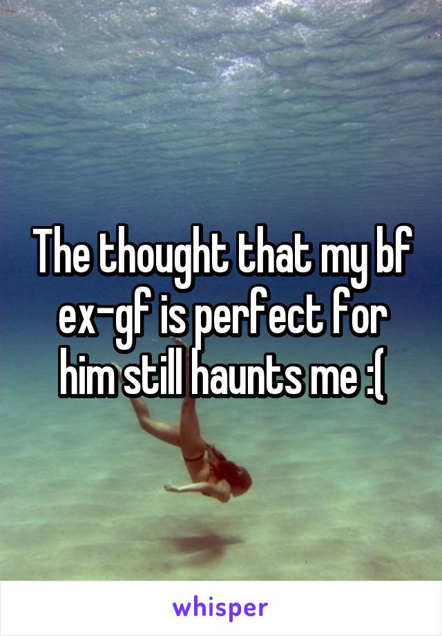 The thought that my bf ex-gf is perfect for him still haunts me :(