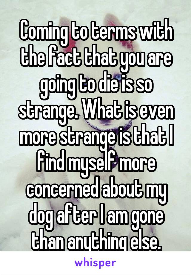 Coming to terms with the fact that you are going to die is so strange. What is even more strange is that I find myself more concerned about my dog after I am gone than anything else.