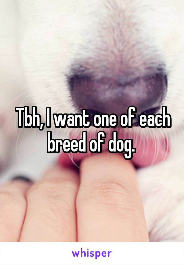 Tbh, I want one of each breed of dog. 