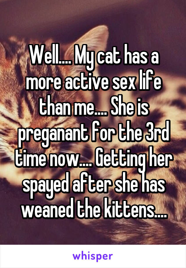 Well.... My cat has a more active sex life than me.... She is preganant for the 3rd time now.... Getting her spayed after she has weaned the kittens....