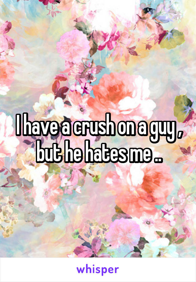 I have a crush on a guy , but he hates me ..