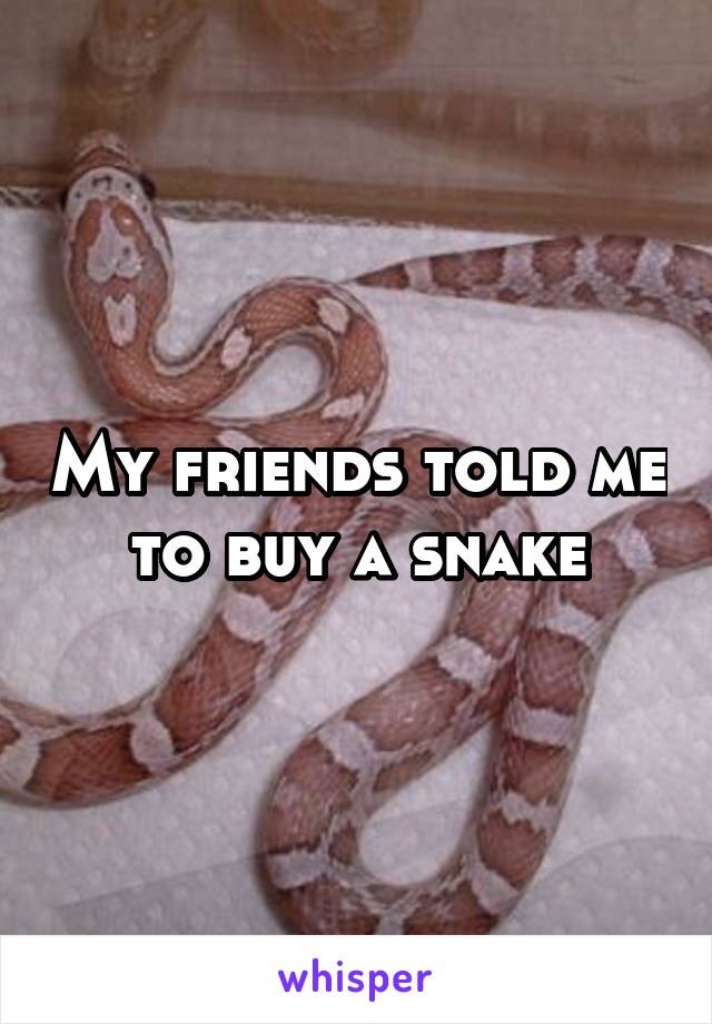 My friends told me to buy a snake