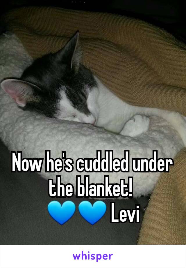 




Now he's cuddled under the blanket! 
💙💙 Levi