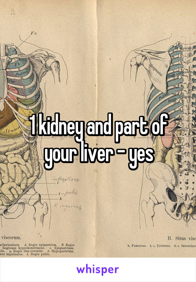 1 kidney and part of your liver - yes