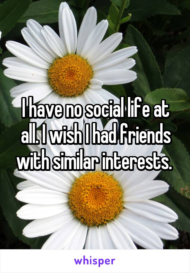 I have no social life at all. I wish I had friends with similar interests. 