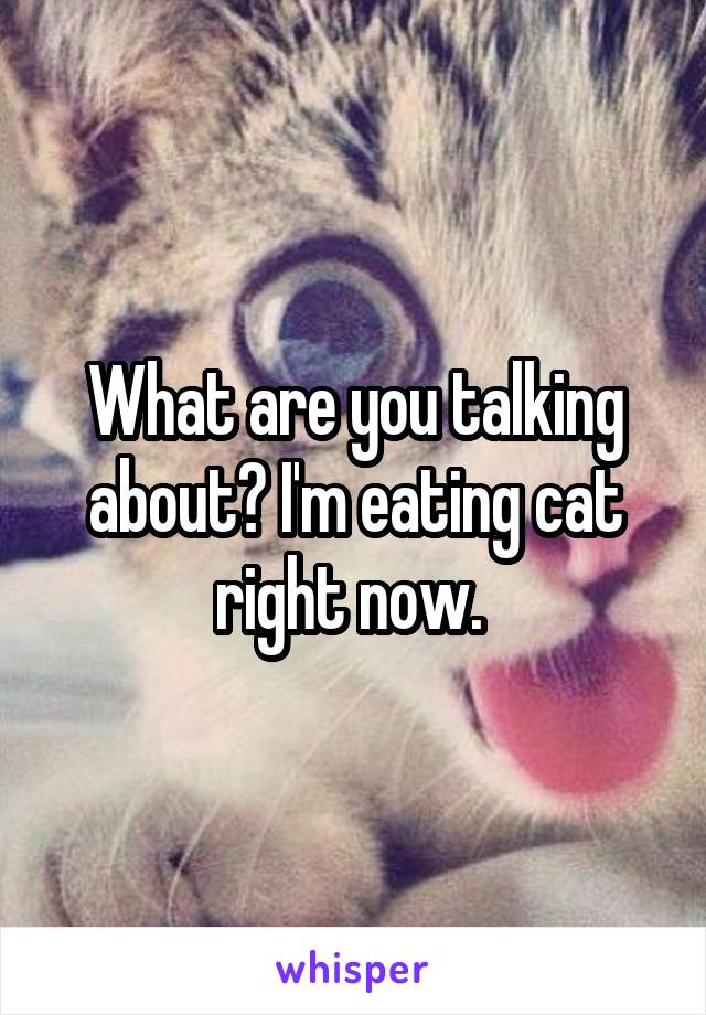 What are you talking about? I'm eating cat right now. 