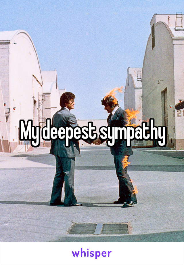 My deepest sympathy