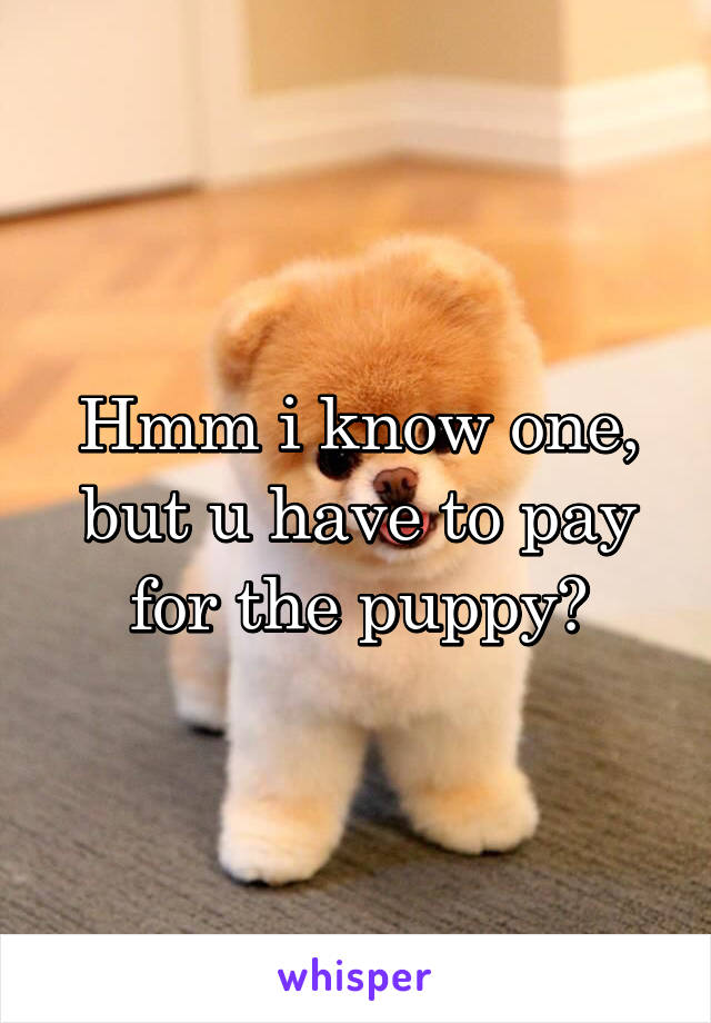 Hmm i know one, but u have to pay for the puppy👍