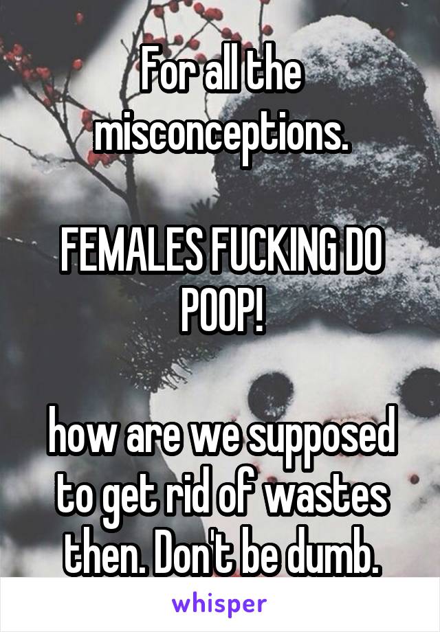 For all the misconceptions.

FEMALES FUCKING DO POOP!

how are we supposed to get rid of wastes then. Don't be dumb.