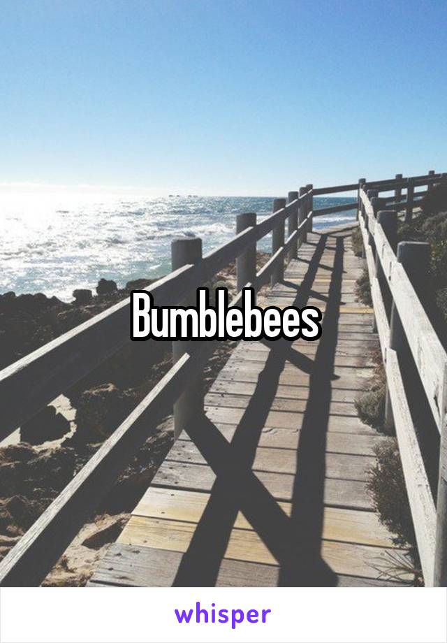 Bumblebees