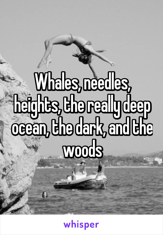 Whales, needles, heights, the really deep ocean, the dark, and the woods