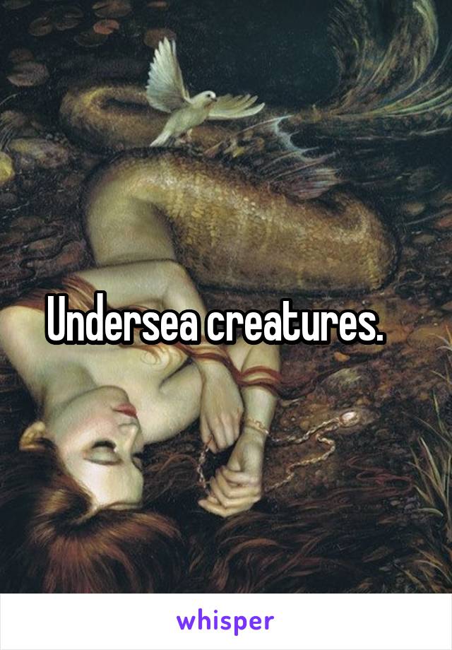 Undersea creatures.   