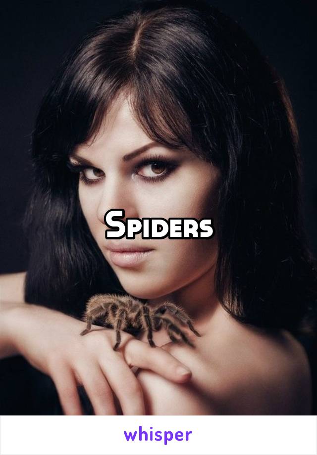 Spiders