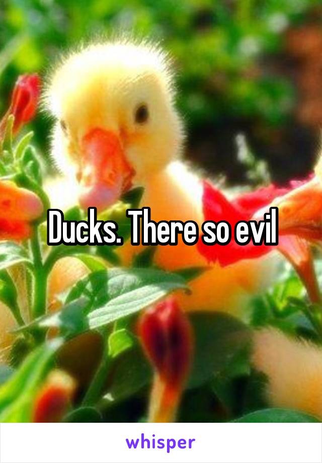 Ducks. There so evil