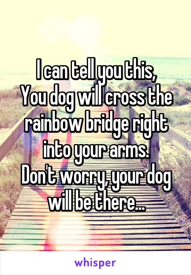 I can tell you this,
You dog will cross the rainbow bridge right into your arms.
Don't worry, your dog will be there...