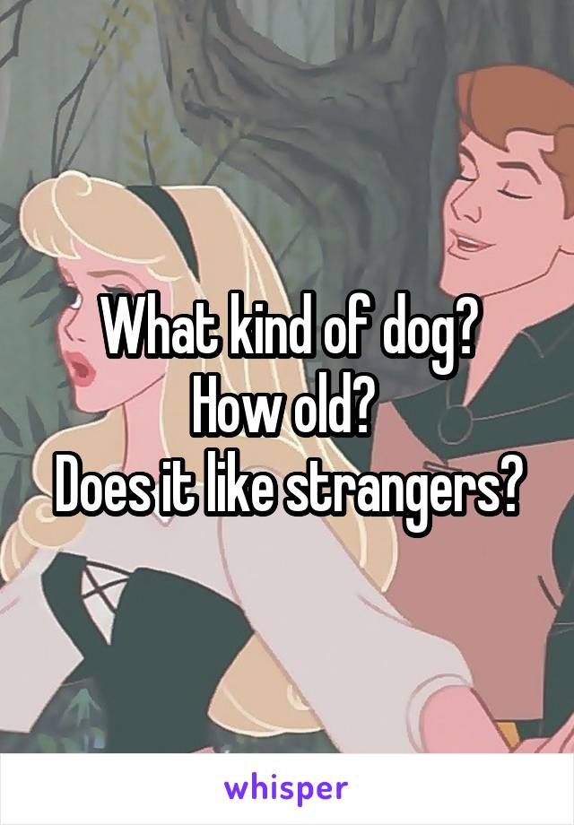 What kind of dog?
How old? 
Does it like strangers?