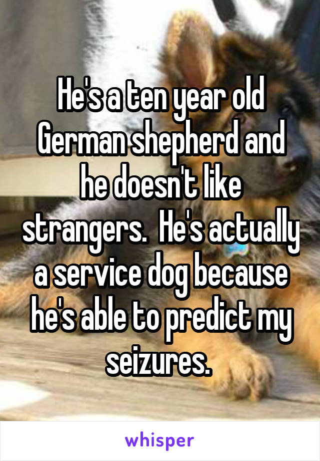 He's a ten year old German shepherd and he doesn't like strangers.  He's actually a service dog because he's able to predict my seizures. 