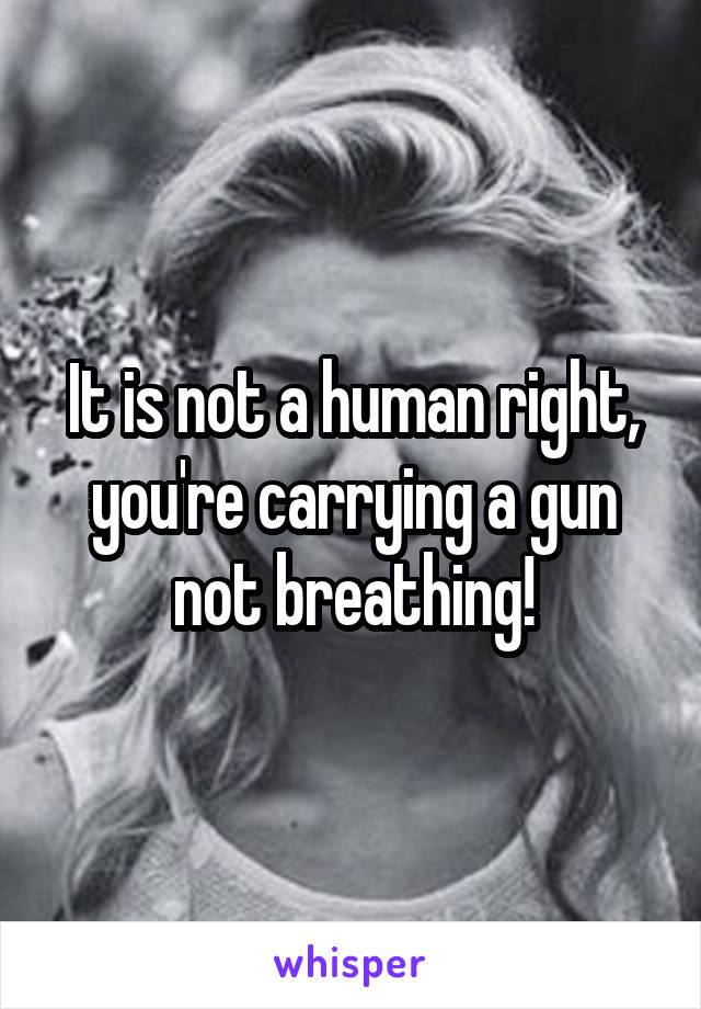 It is not a human right, you're carrying a gun not breathing!