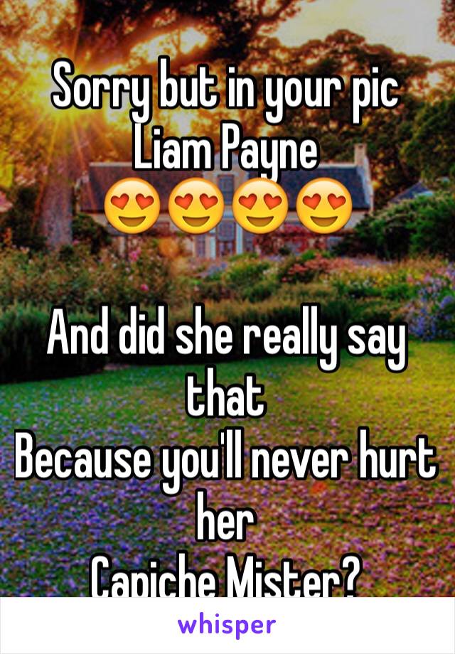 Sorry but in your pic
Liam Payne
😍😍😍😍

And did she really say that
Because you'll never hurt her
Capiche Mister?