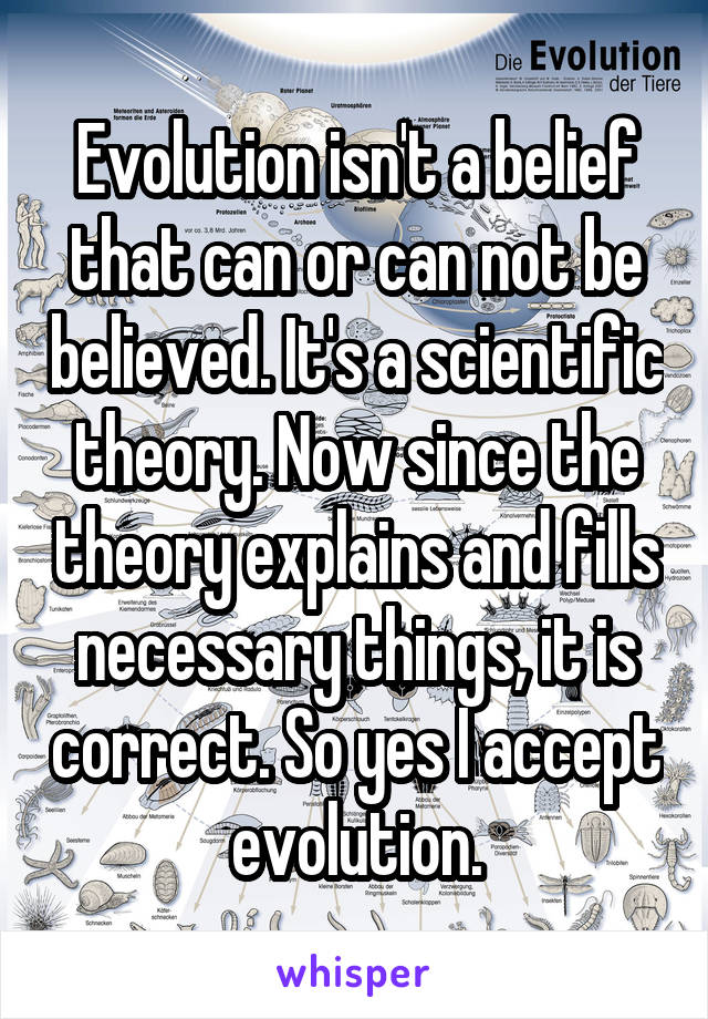 Evolution isn't a belief that can or can not be believed. It's a scientific theory. Now since the theory explains and fills necessary things, it is correct. So yes I accept evolution.