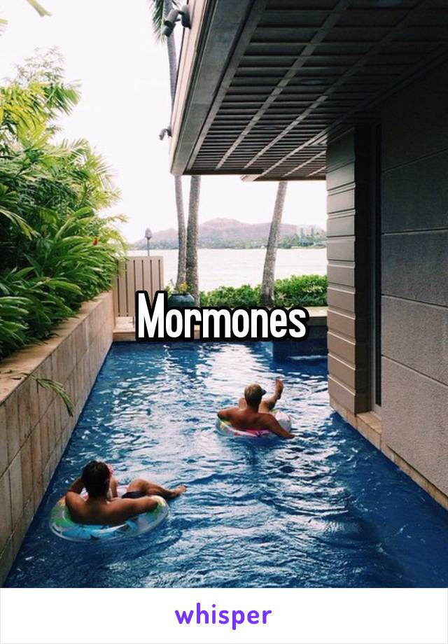 Mormones 